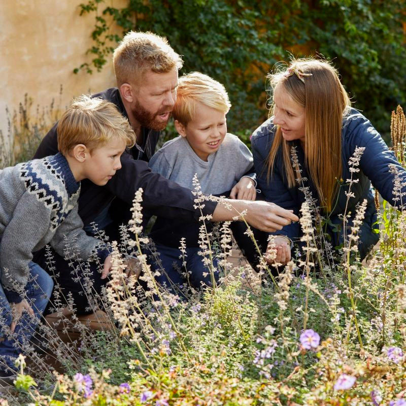 Familie der sidder i en blomstermark