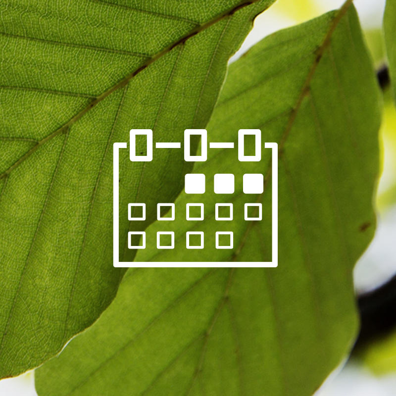 ATP we work to ensure basic financial security in Denmark